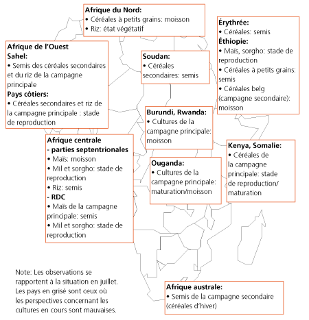 Perspectives de rcoltes et situation alimentaire 