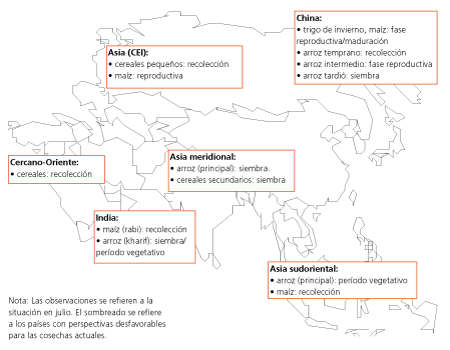 Perspectivas de Cosechas y Situacin Alimentaria