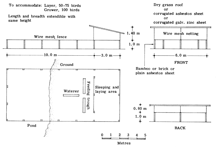 Fig.1