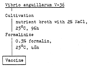 Fig. 13