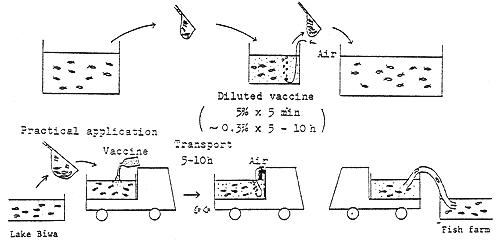 Fig. 13