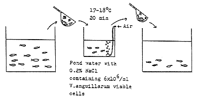 Fig. 15