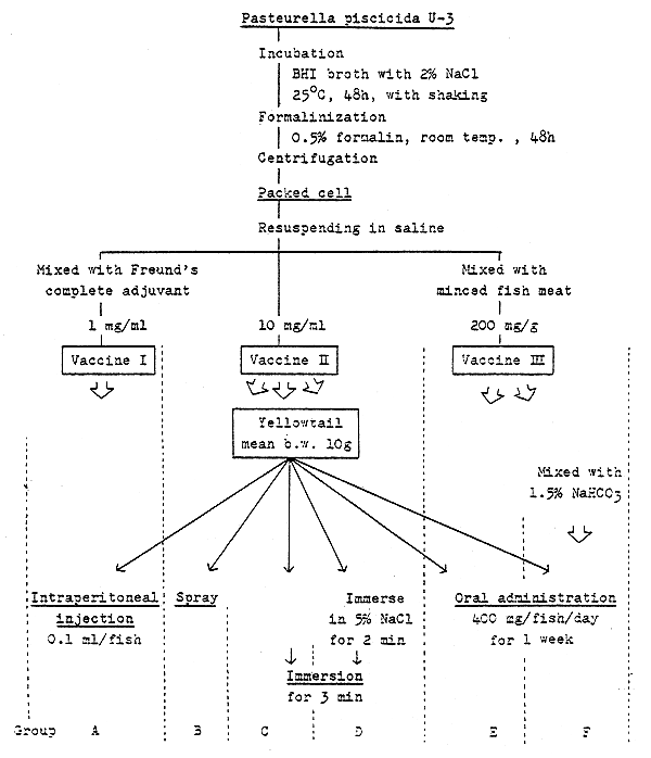 Fig. 16