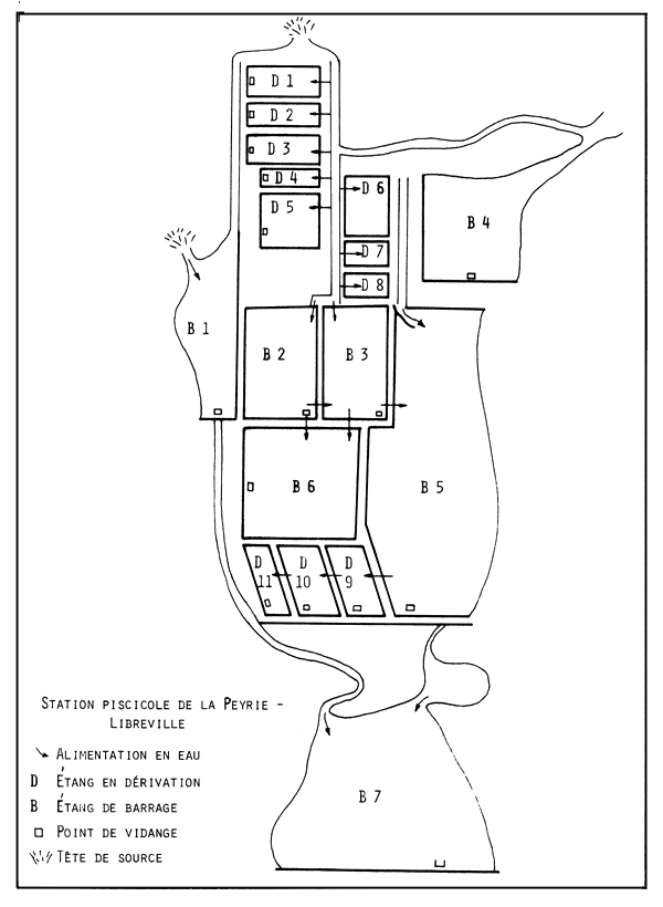 FIGURE 2.1