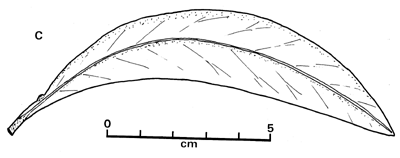 Fig.1