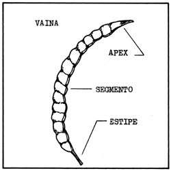 Figura 2