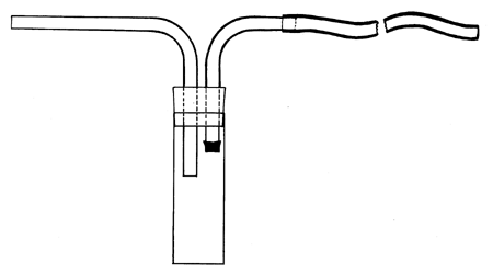 Figura 6