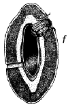 Fig. 1f