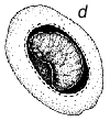 Fig. 1d