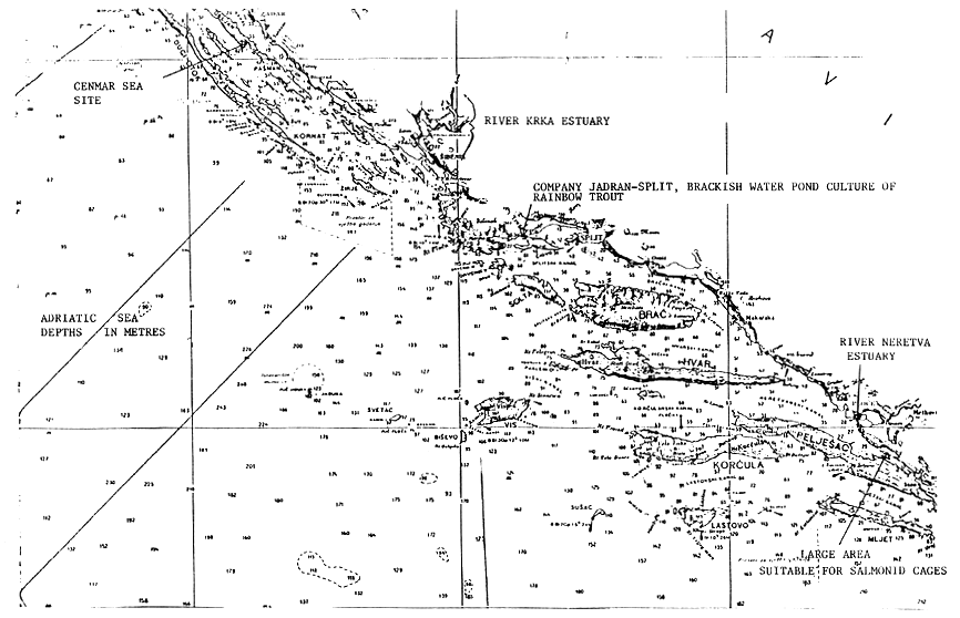 Fig. 11