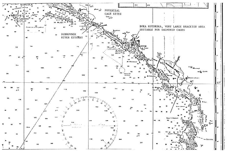 Fig. 12