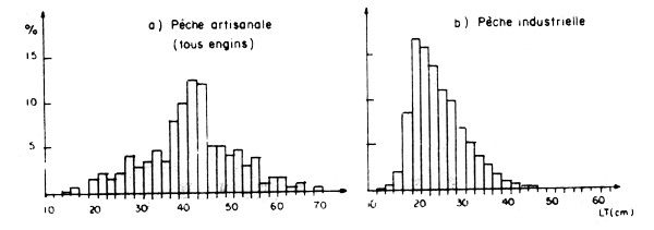 Figure. 14