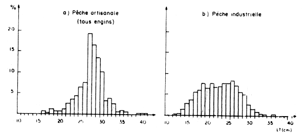 Figure. 15