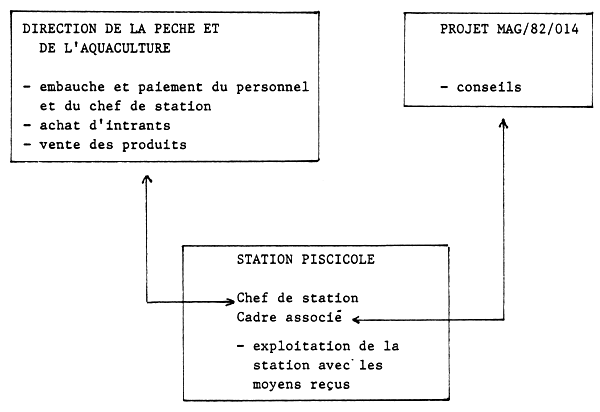 Schema No1