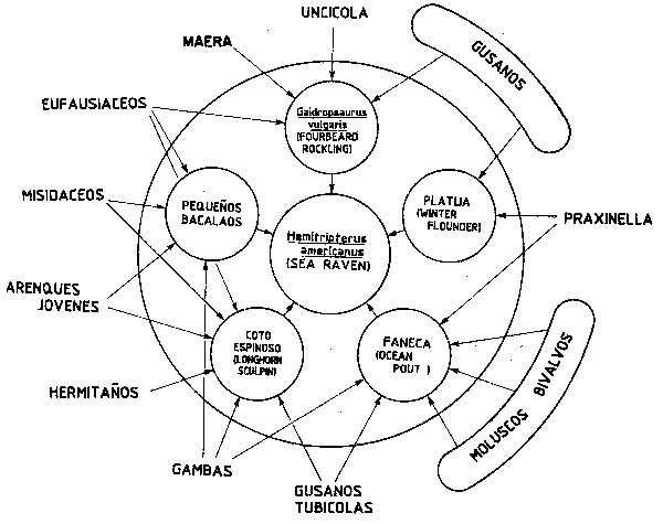 Figura 53