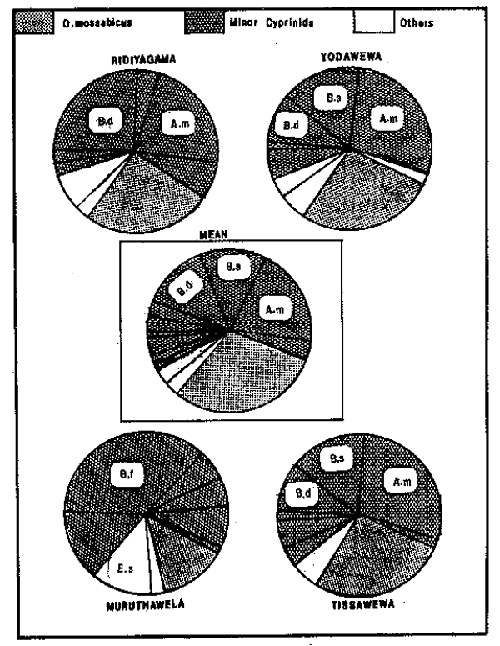 Fig.17.