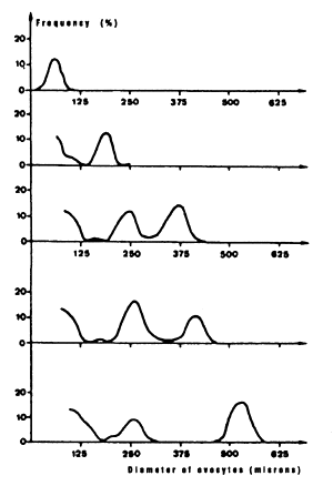 Figure 6.38