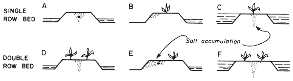 Fig. 12