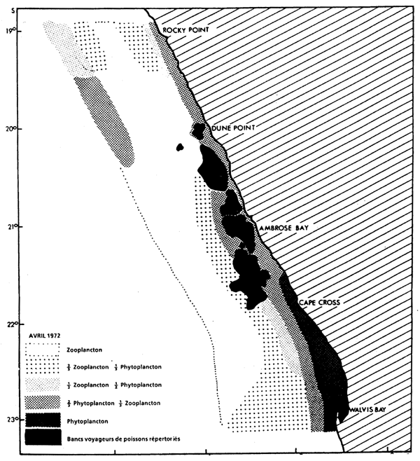 Figura 8.11