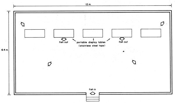 Figure 50