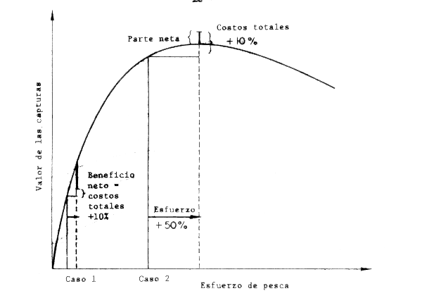 Figura 7