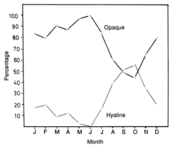 Fig. 9.