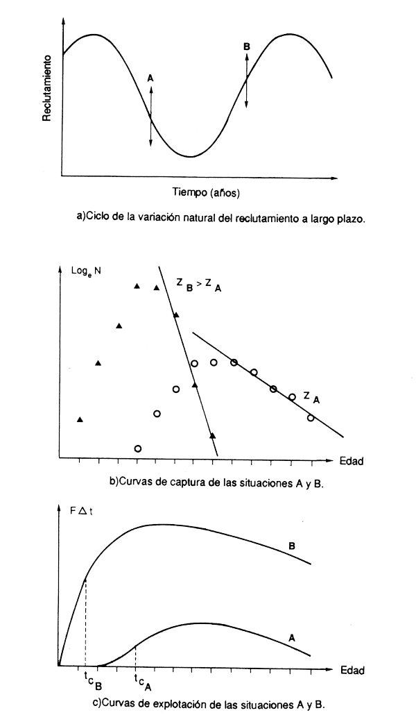 Figura 4.3