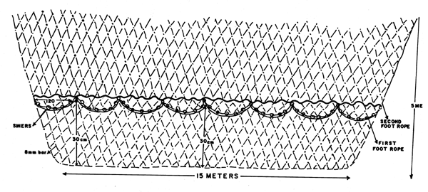 Figure 50