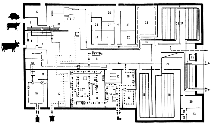 FIGURA 2