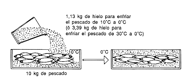 Figura 7