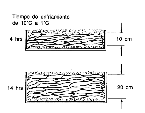 Figura 9