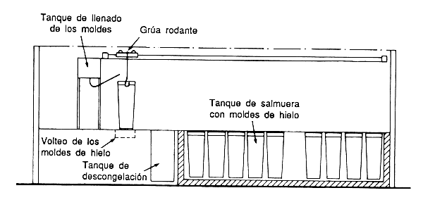 Figura 10