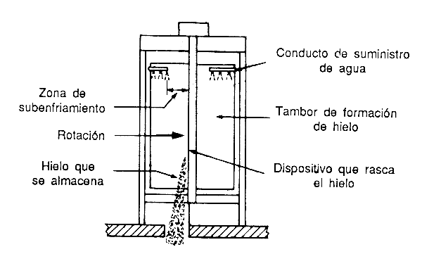 Figura 11