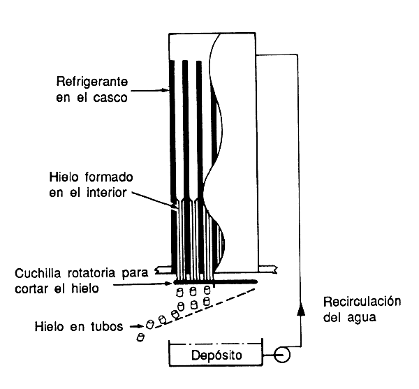 Figura 12