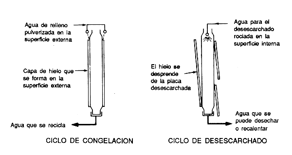 Figura 13