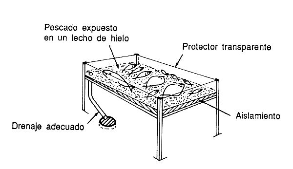 Figura 25