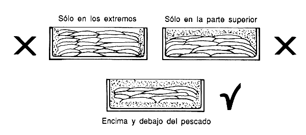 Figura 27