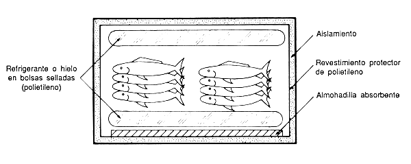 Figura 29