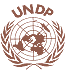 UNDP logo