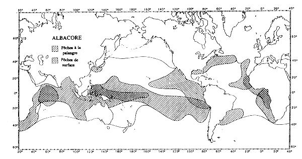 Carte 5