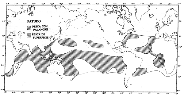 Mapa 2