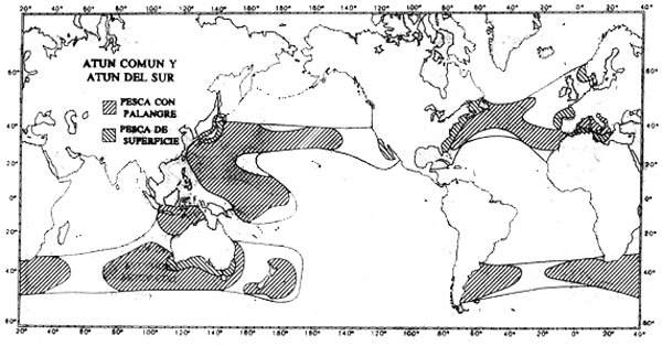 Mapa 3