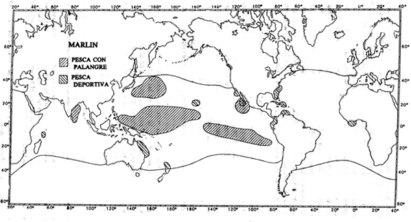 Mapa 6