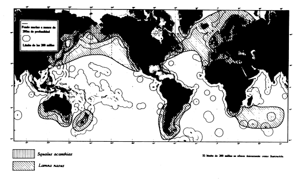 Mapa 7