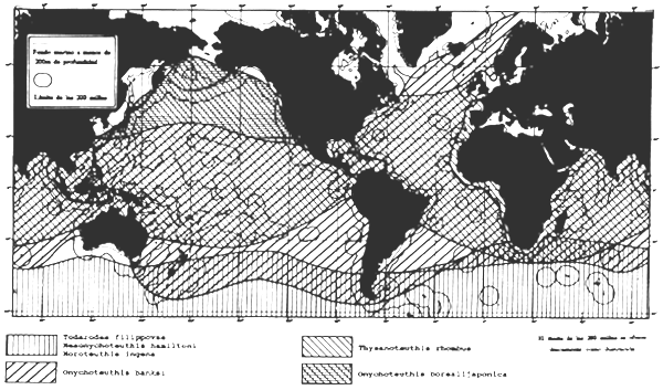 Mapa 10