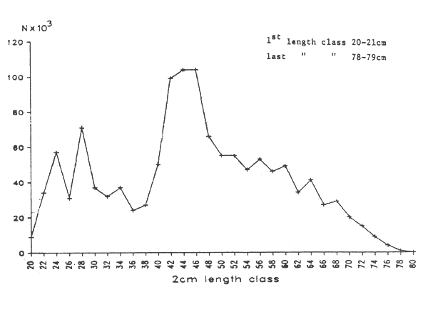 Fig.1