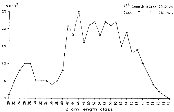 Fig. 2B