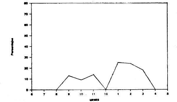 Figura 1