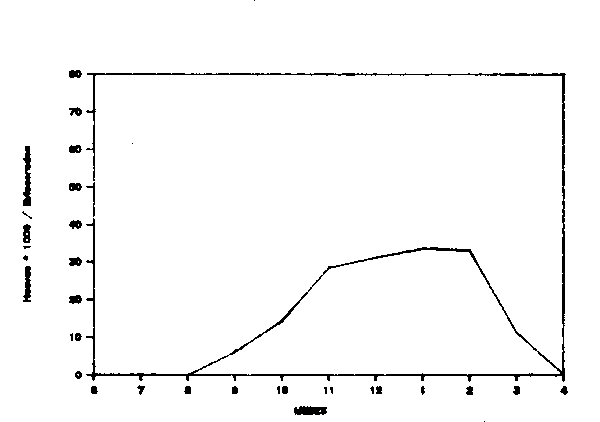 Figura 3