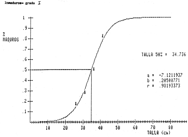 Figura 5